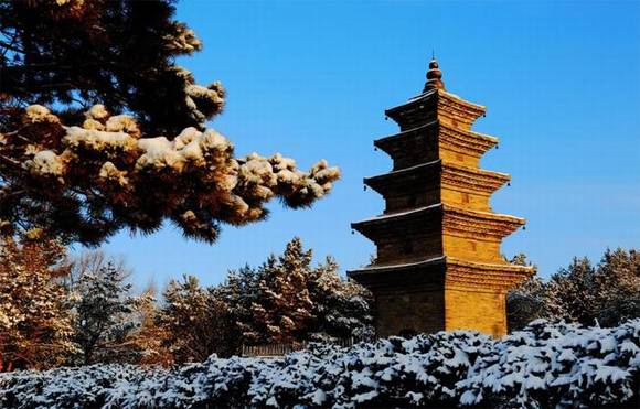 ���ֳ��������