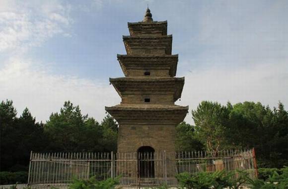 ���ֳ��������