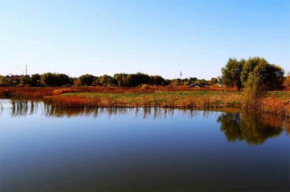 ���ֳ�����������ʪ�ع�԰