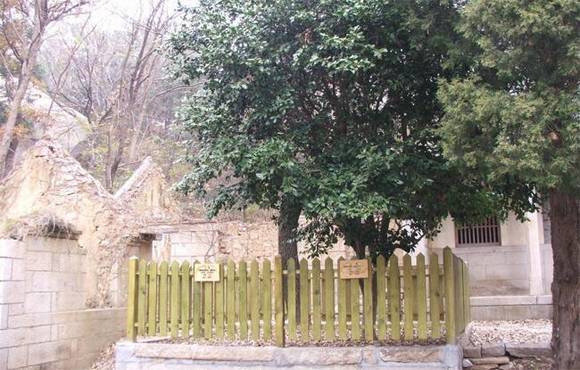 �ൺ��ɽ���ڹص���