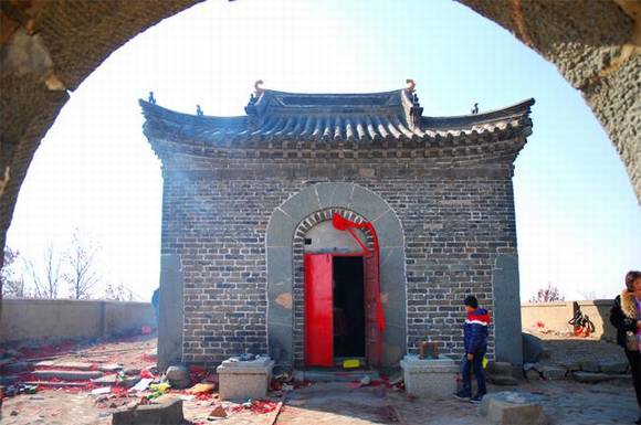 ɽ����ī�����������