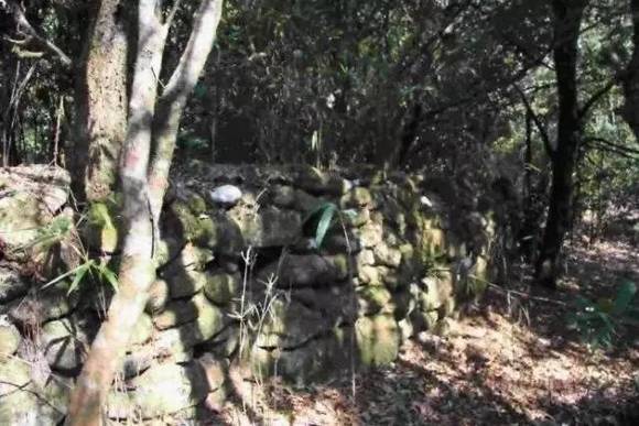 ����˫����ʯ��ɽ�������Ž�ķᱮ