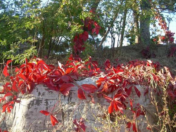 ��������ɽ�����ɽ�ĵ����Դ