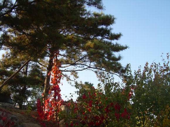 ��������ɽ�����ɽ�ĵ����Դ