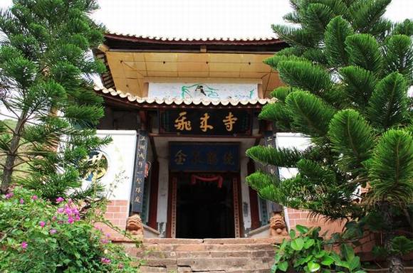 ����»��ǧ���ζ��ھ�����