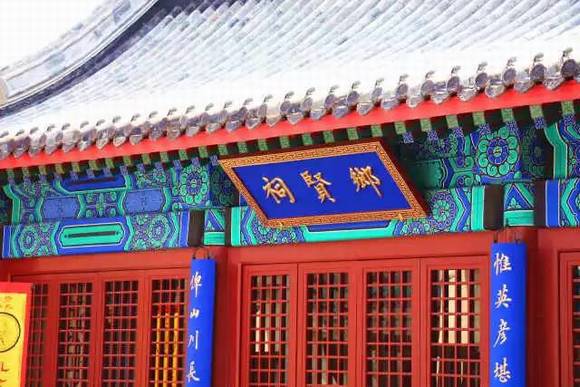 ɽ����ī������������