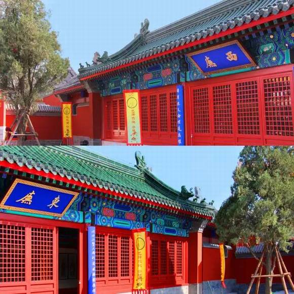 ɽ����ī������������