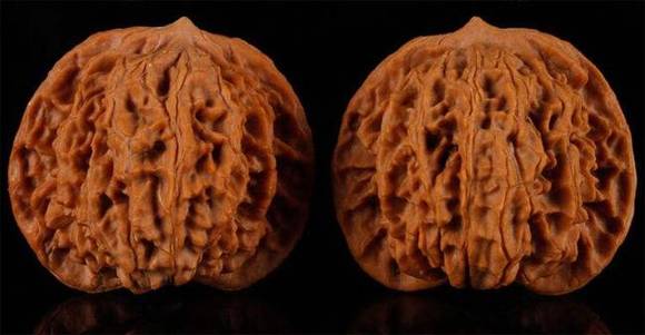 �ʼ�ʮ���棺��������������