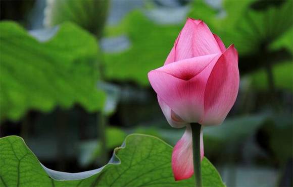 ��Ȥ�����ͺ���