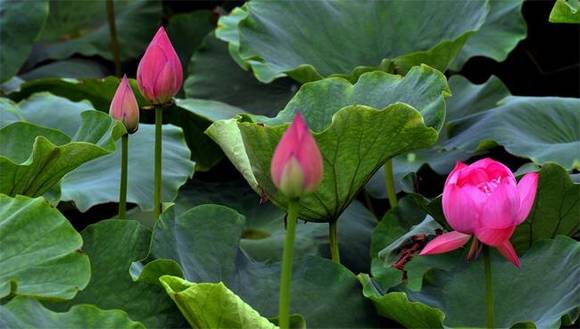 ��Ȥ�����ͺ���