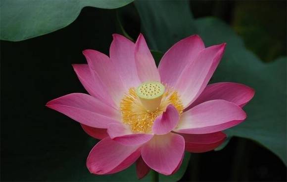 ��Ȥ�����ͺ���