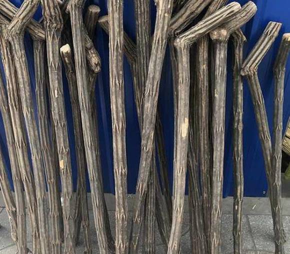 �����ÿڳ��þ��ַ���