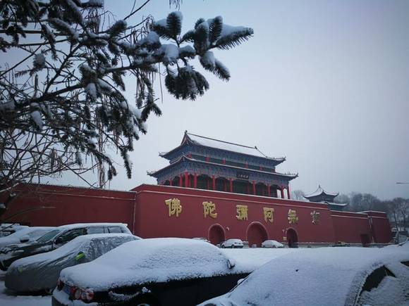 ������Դ������