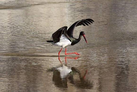 ������ɽ �й�����֮��