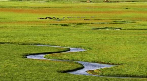 ��κ�����ʵ��ذϫ��������ء�