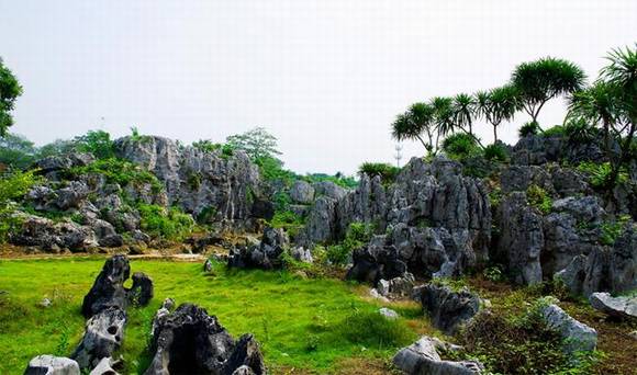 ������������ʯ�� ��ʯ����