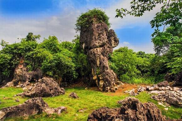 ������������ʯ�� ��ʯ����