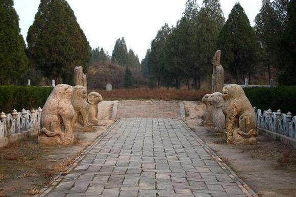 ɽ������˾����Ĺ