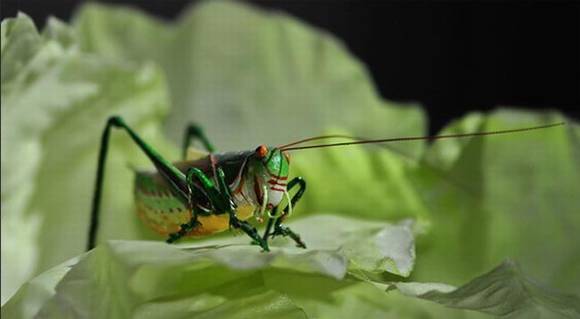 ���ϰ����������Ͼ���