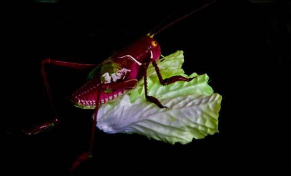 ���ϰ����������Ͼ���