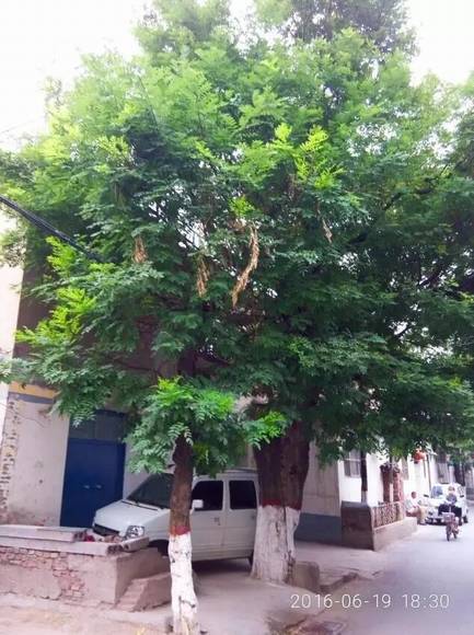 ���ϰ������� ��ɫ���ʯ��