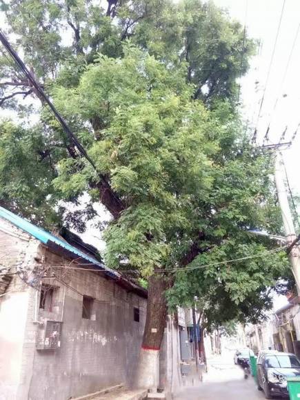 ���ϰ������� ��ɫ���ʯ��