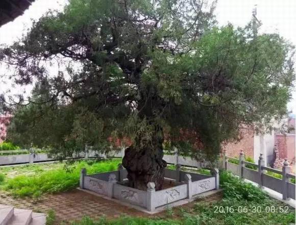 ���ϰ������� ��ɫ���ʯ��