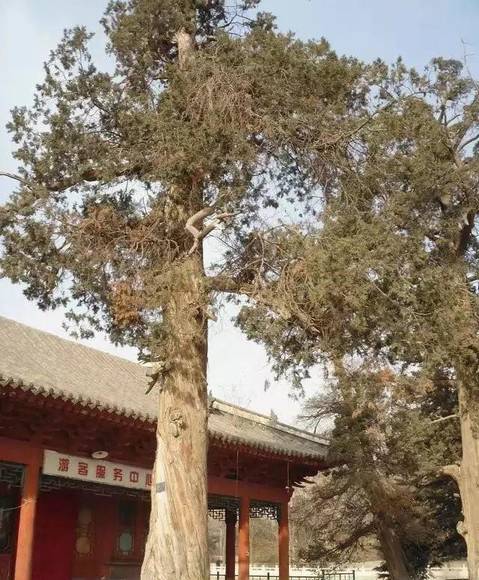 ���ϰ������� ��ɫ���ʯ��