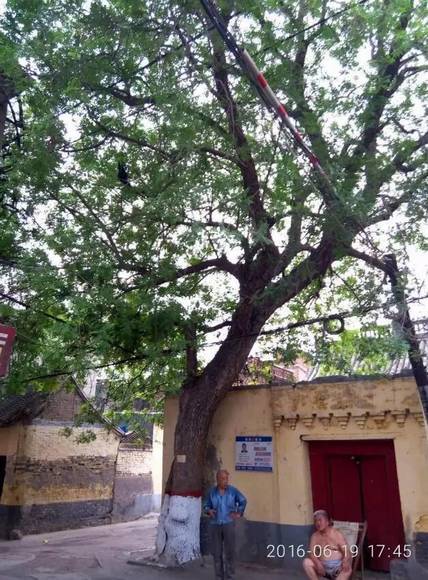 ���ϰ������� ��ɫ���ʯ��