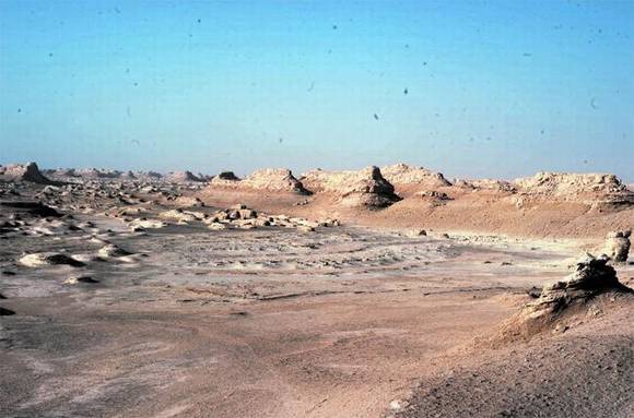 �½��޲������ֵ�����