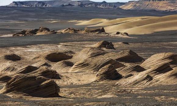 �½��޲������ֵ�����