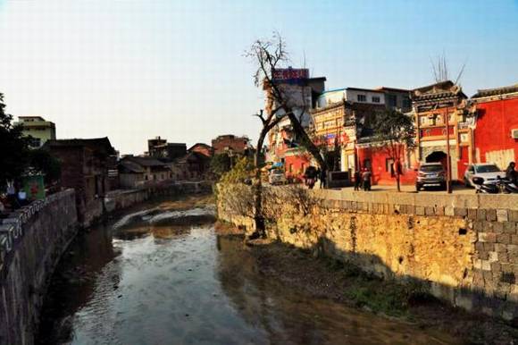 ������Թų�