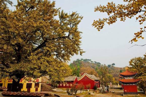 �ӱ���������