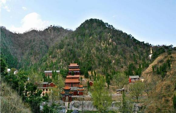 �ӱ���������