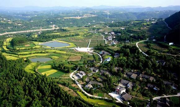 ����������Ĵ������