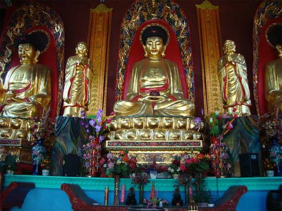 �����߰�������Ժ