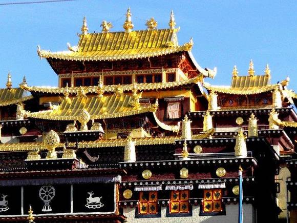 ���ϸ�������������