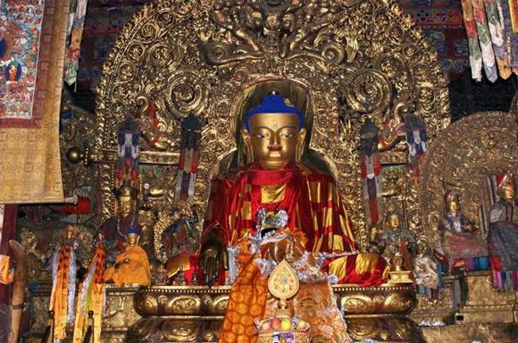 ����������