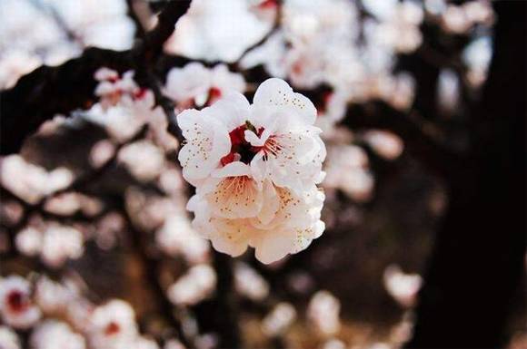 ����������ϰ��