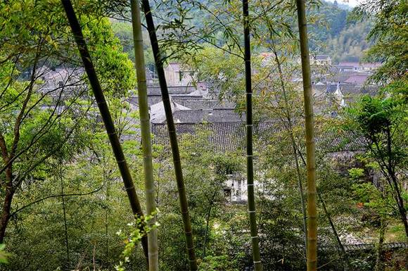 �㽭���Ŷ����Ŵ�