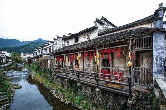 ��������¬��