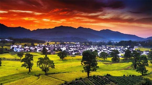 ��������¬��