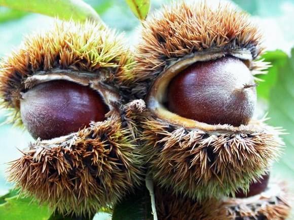 ��ƽ���׶���Ĵ�˵