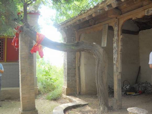 ƽ����̨����������