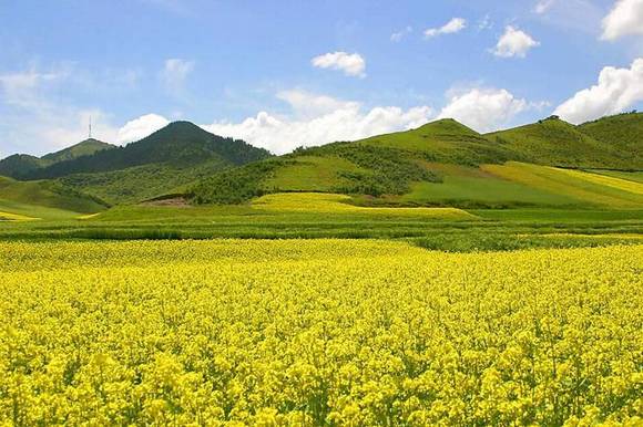 �й��ġ�С��ӡ������ࡤ����