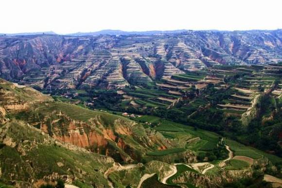 �й��ġ�С��ӡ������ࡤ����