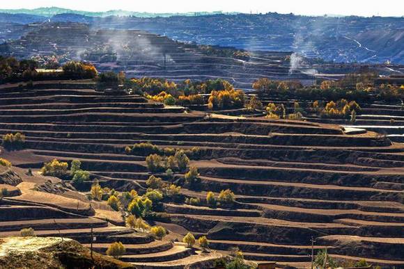 �й��ġ�С��ӡ������ࡤ����