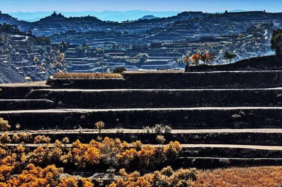 �й��ġ�С��ӡ������ࡤ����