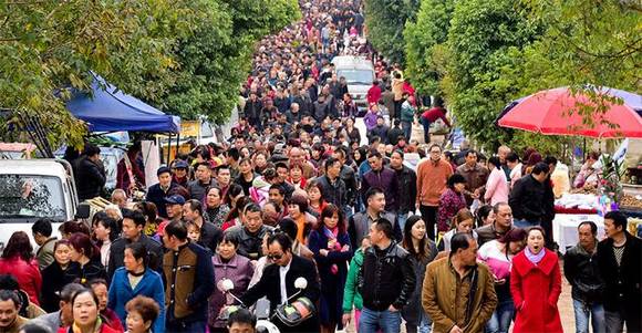 ���¶� �¶�ľ����