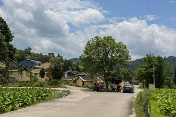 ��ï����